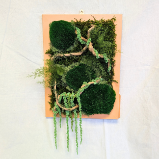 Large Orange Moss Frame with Spanish Moss, Amaranthus, Driftwood & Air Ferns